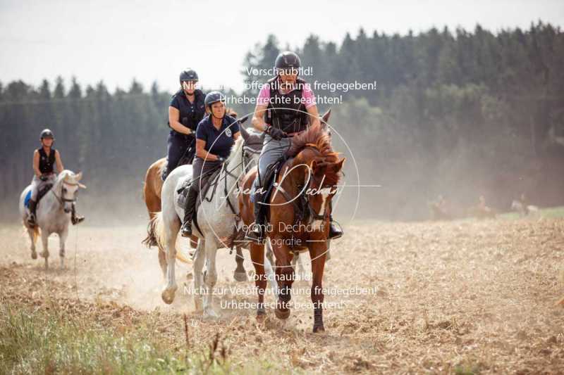 Schleppjagdtraining_2023-079