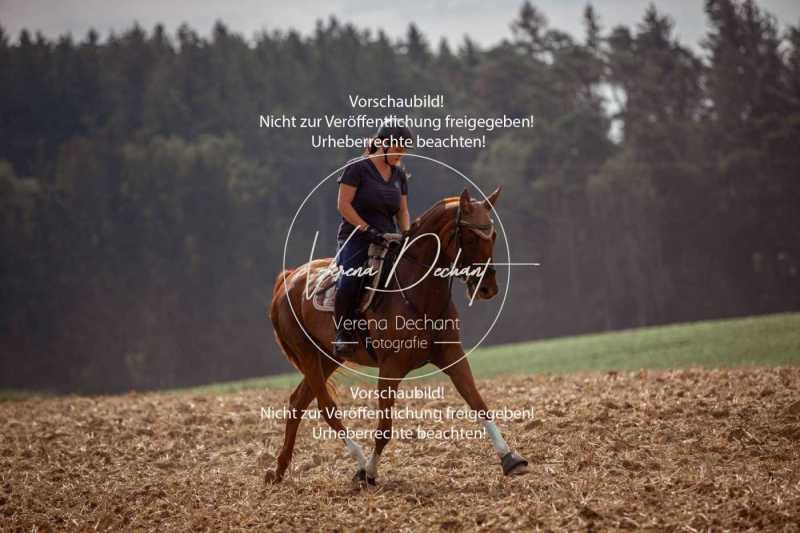 Schleppjagdtraining_2023-090