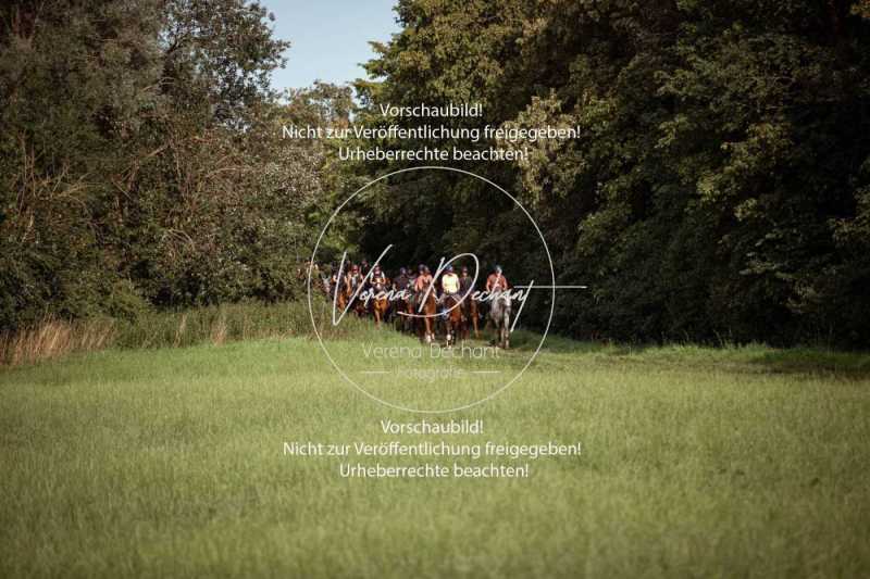 Schleppjagdtraining_2023-004
