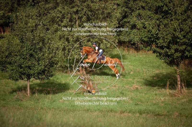 Schleppjagdtraining_2023-053-2