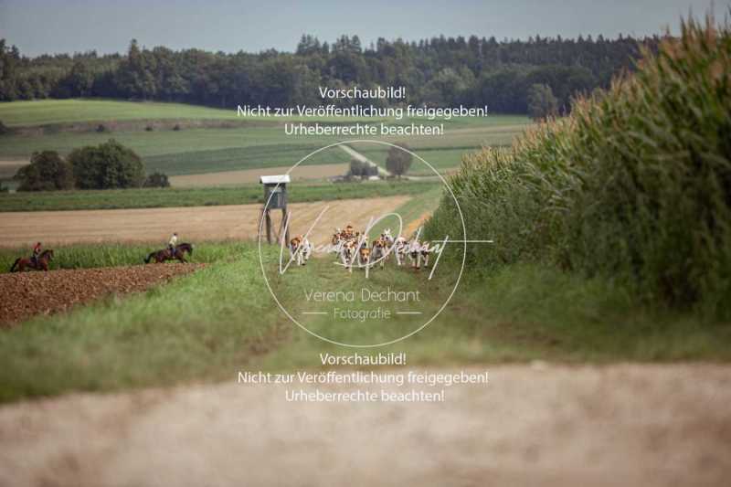Schleppjagdtraining_2023-113