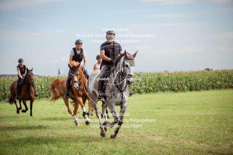 Schleppjagdtraining_2023-143