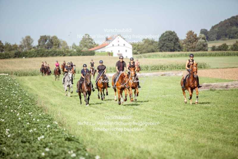Schleppjagdtraining_2023-211