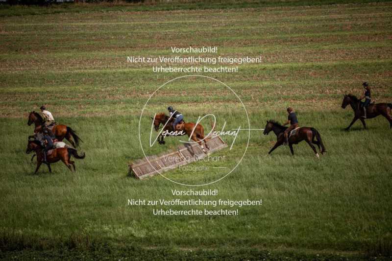 Schleppjagdtraining_2023-276