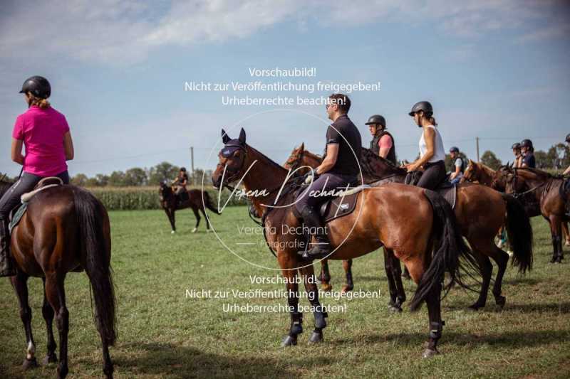 Schleppjagdtraining_2023-303