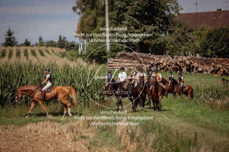 Schleppjagdtraining_2023-321