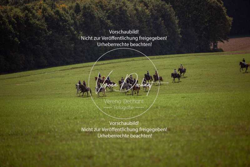 Schleppjagdtraining_2023-372