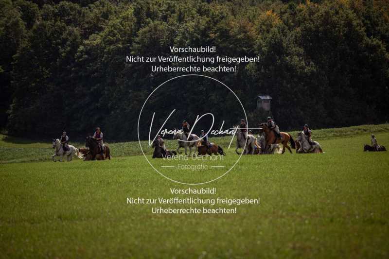Schleppjagdtraining_2023-374