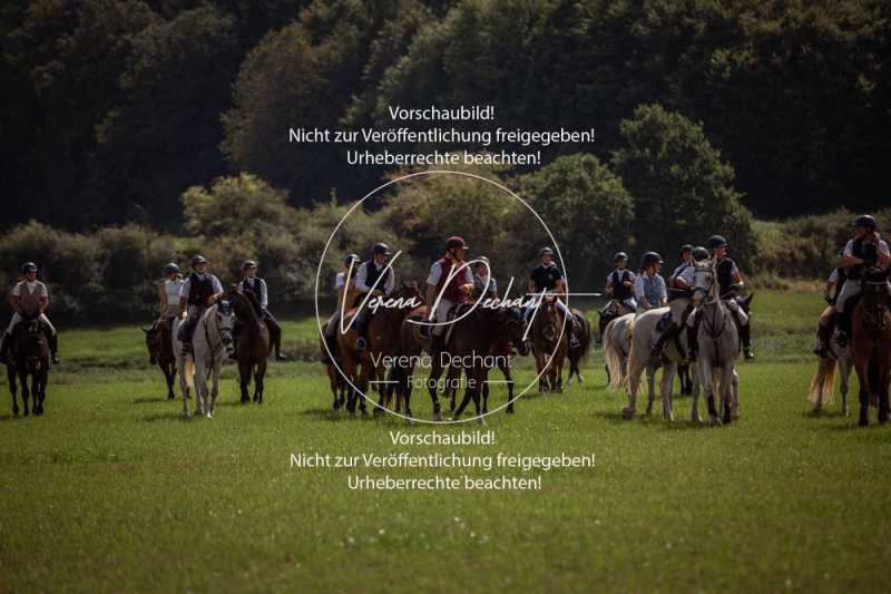 Schleppjagdtraining_2023-385