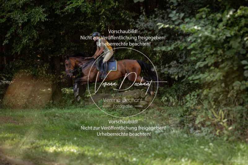Schleppjagdtraining_2023-448