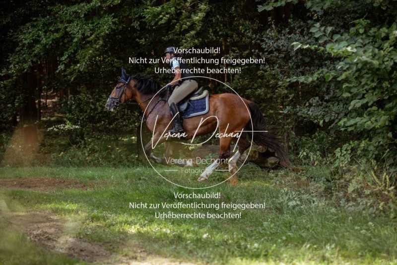 Schleppjagdtraining_2023-489