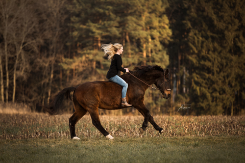Freiheit pur. Das bin ich auf meinem Pferd Libero, gebisslos und ohne Sattel. Foto: Theresa Plankl Verena Dechant Fotografie Niederbayern Bayern Pferde Pferdefotografie Bayernweit Equine