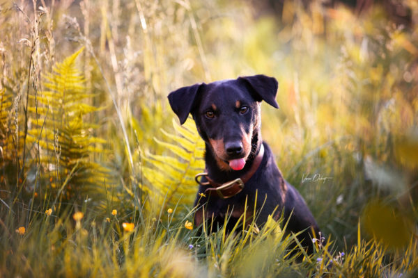 Arko-0268-Bearbeitet-Bearbeitet