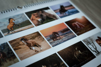 Kalender 2019 Shop, Kalender
