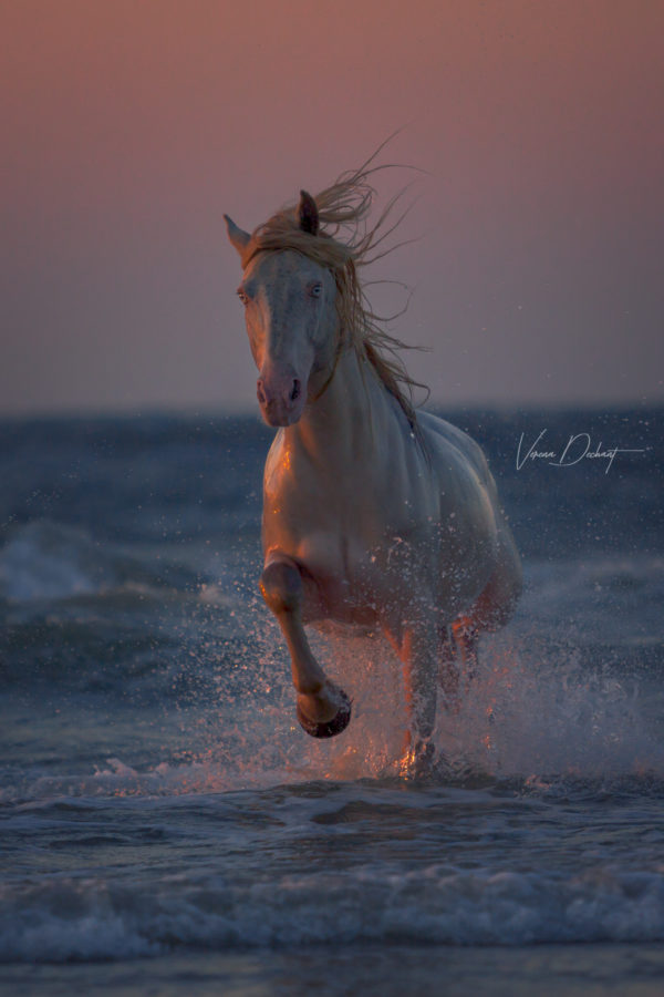 Fotoreise, Dänemark, Stald Nordkap, Portfolioerweiterung, Portfolio, Verena Dechant, Lisa Klein, Photographytour, Bayern, Deutschland, Europa