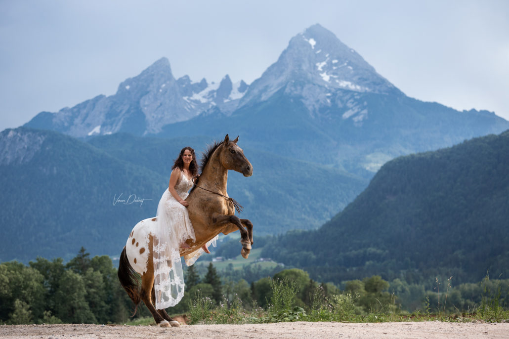 Fotoshooting mit Deinem Pferd