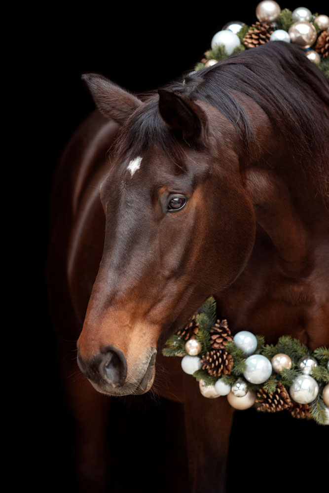 Weihnachtsminis