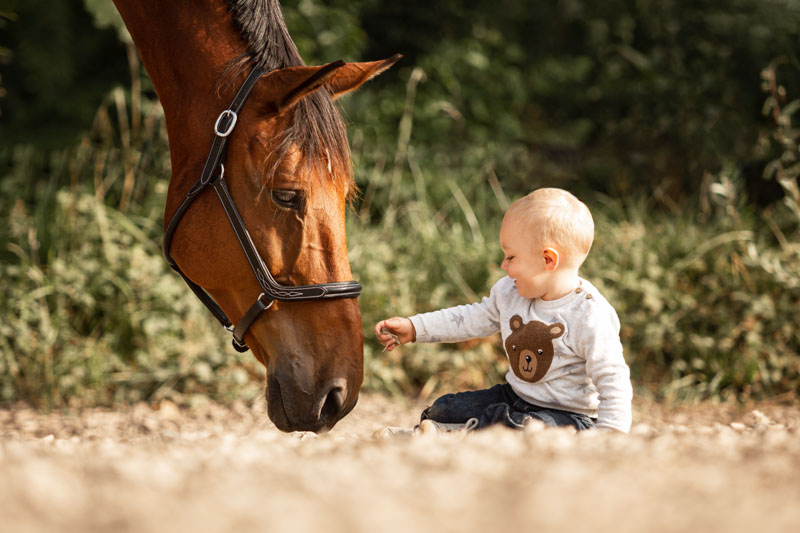 Fotoshooting mit Deinem Pferd