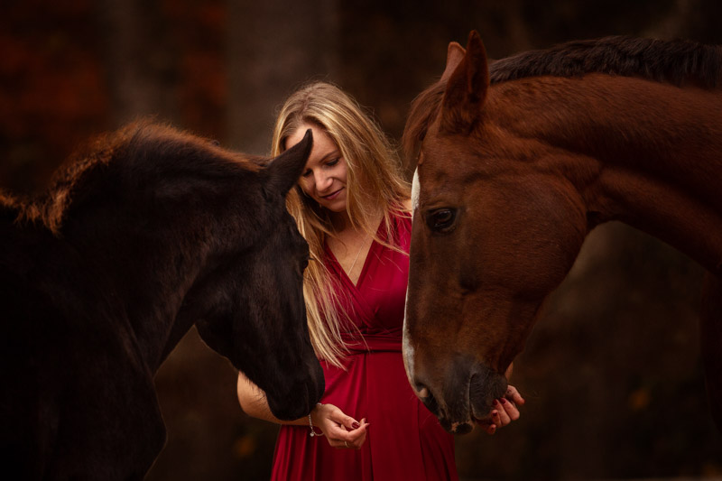 Fotoshooting mit Deinem Pferd