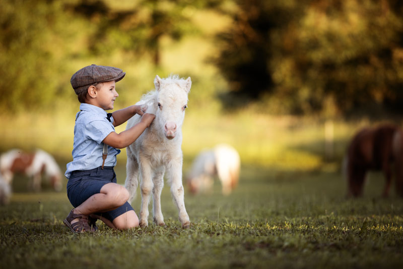 Kinder & Tiere