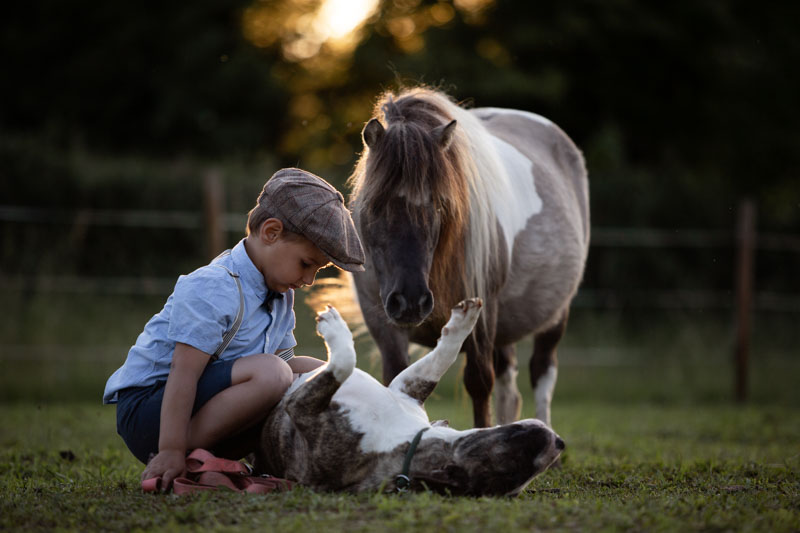 Kinder & Tiere