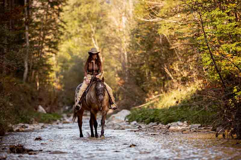 Portfoliotag - Horses & Mountains