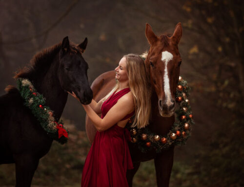 Weihnachtsminis – Deine Festlichen Fotos
