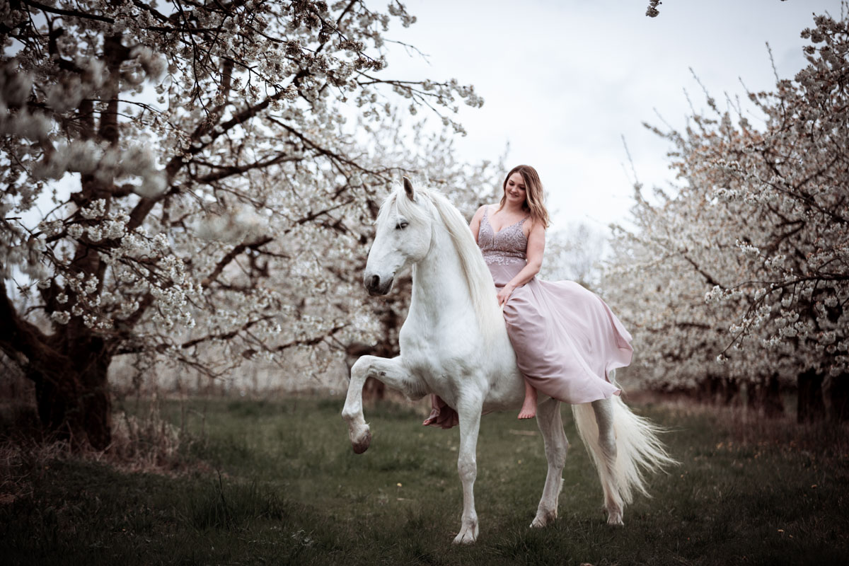 Portfoliotag Blütenzauber Verena Dechant Fotografie