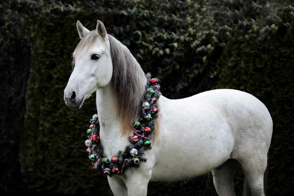 Kranzsshooting Verena Dechant Fotografie