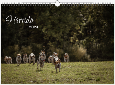 Horrido, Schleppjagdkalender, Kalender, 2024